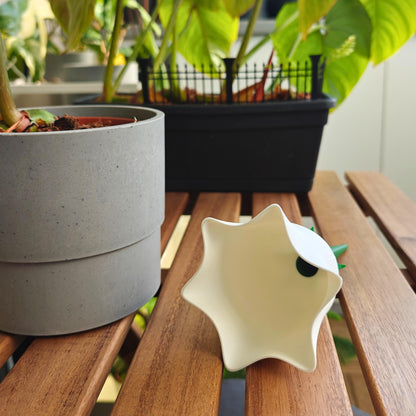 Bellflower Water Container, Self-watering planter, Slow Release Watering for Indoor Plants, Irrigation and watering aid