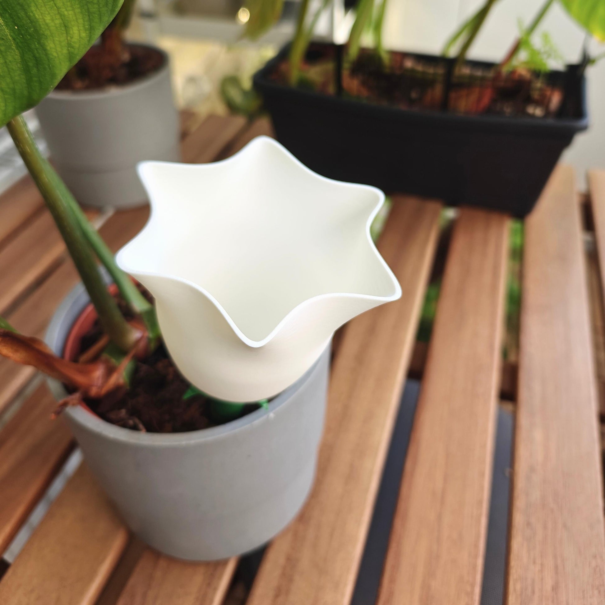 Bellflower Water Container, Self-watering planter, Slow Release Watering for Indoor Plants, Irrigation and watering aid