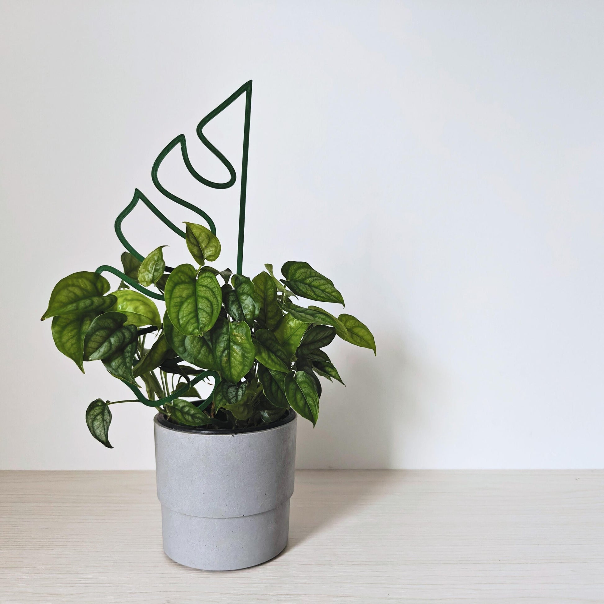 Monstera Leaf Trellis, Decorative Support for Indoor Vines & Climbing Plants, 3d Printed Plant Grid