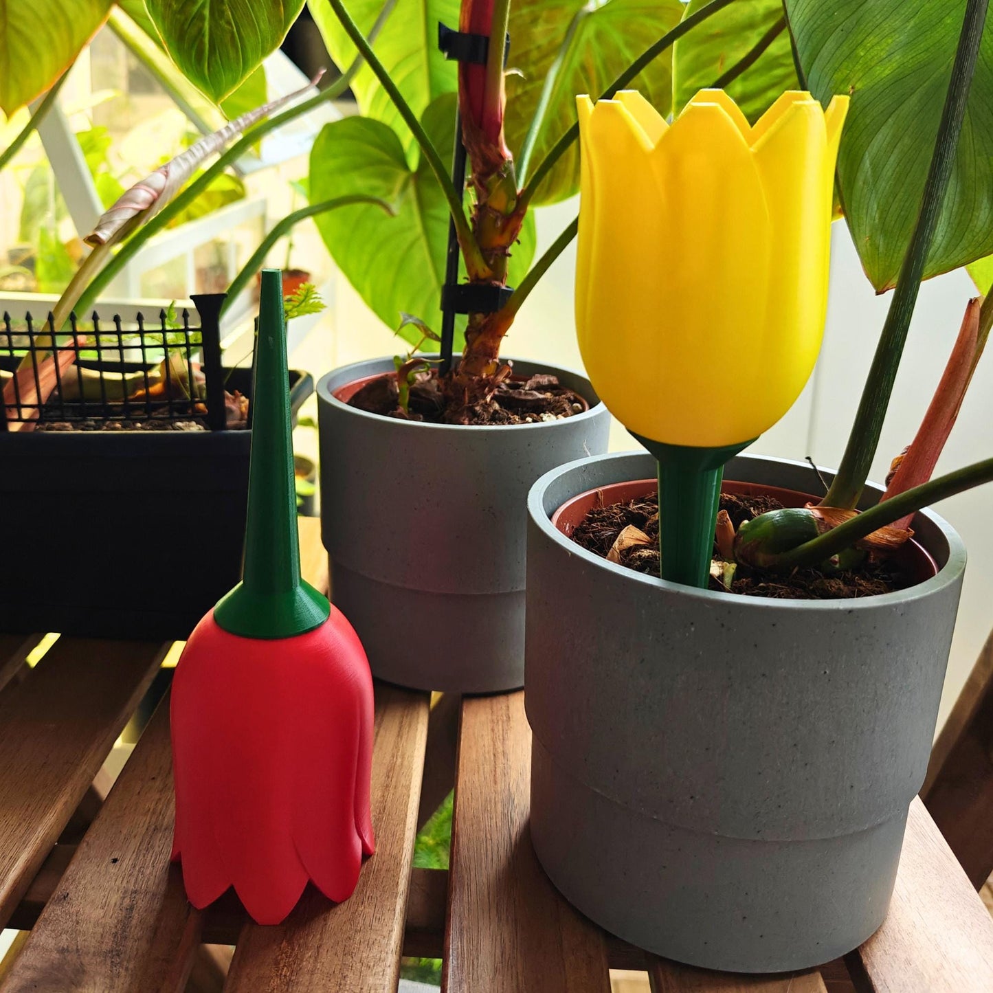 Tulip-shaped water container, self-watering planter for slow-release irrigation for Indoor Plants