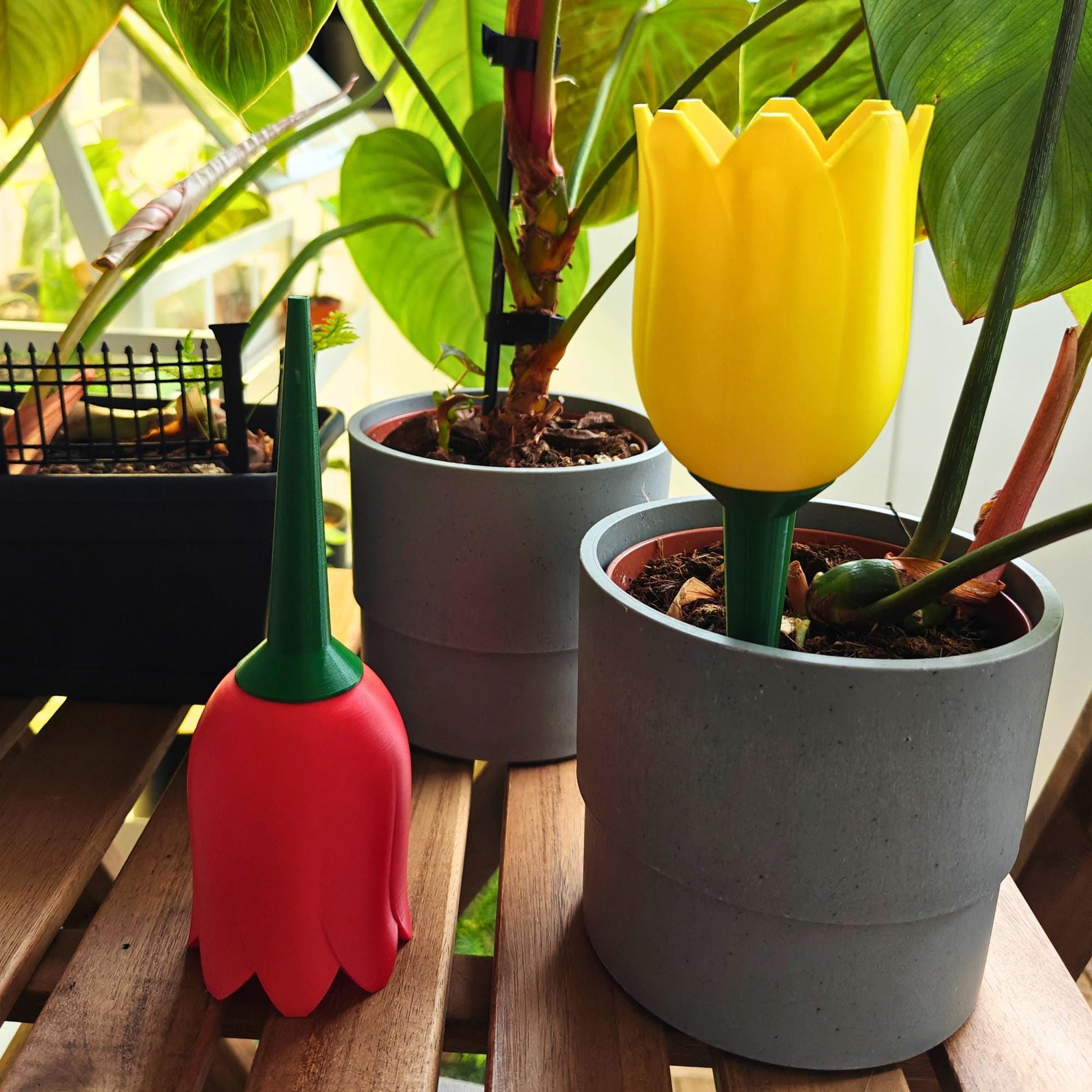 Tulip-shaped water container, self-watering planter for slow-release irrigation for Indoor Plants
