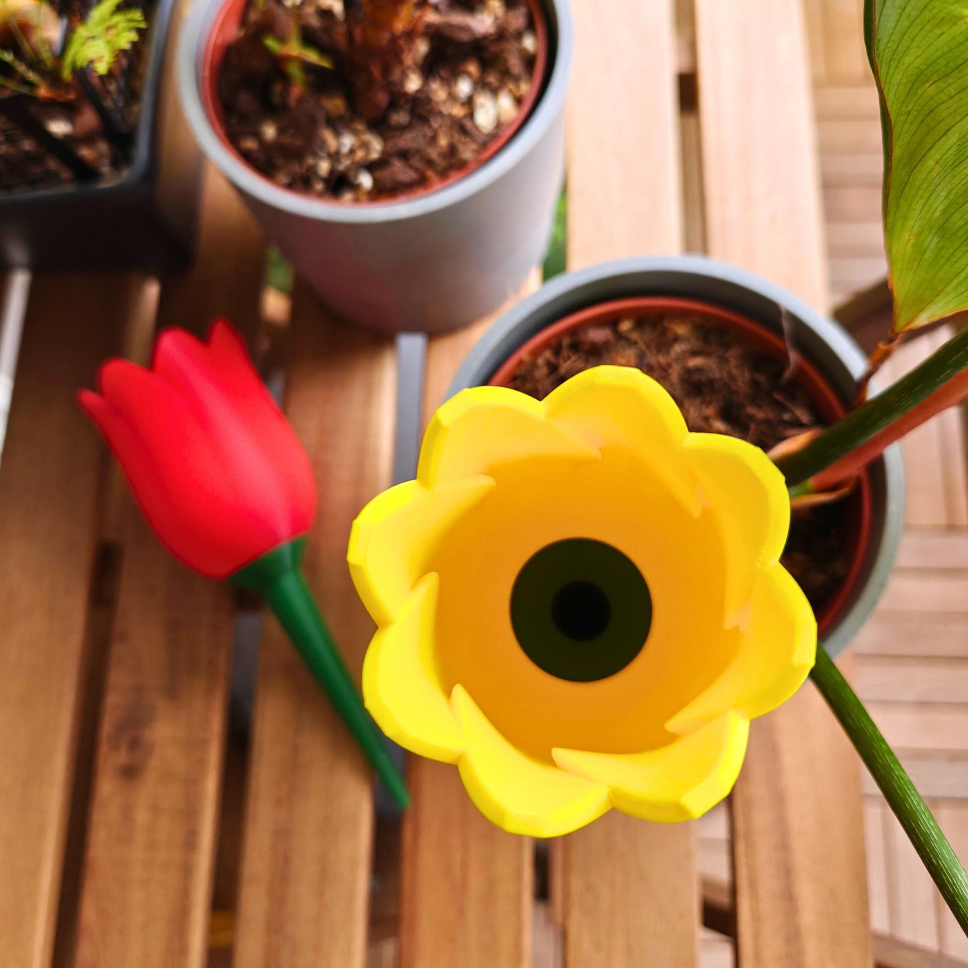 Tulip-shaped water container, self-watering planter for slow-release irrigation for Indoor Plants