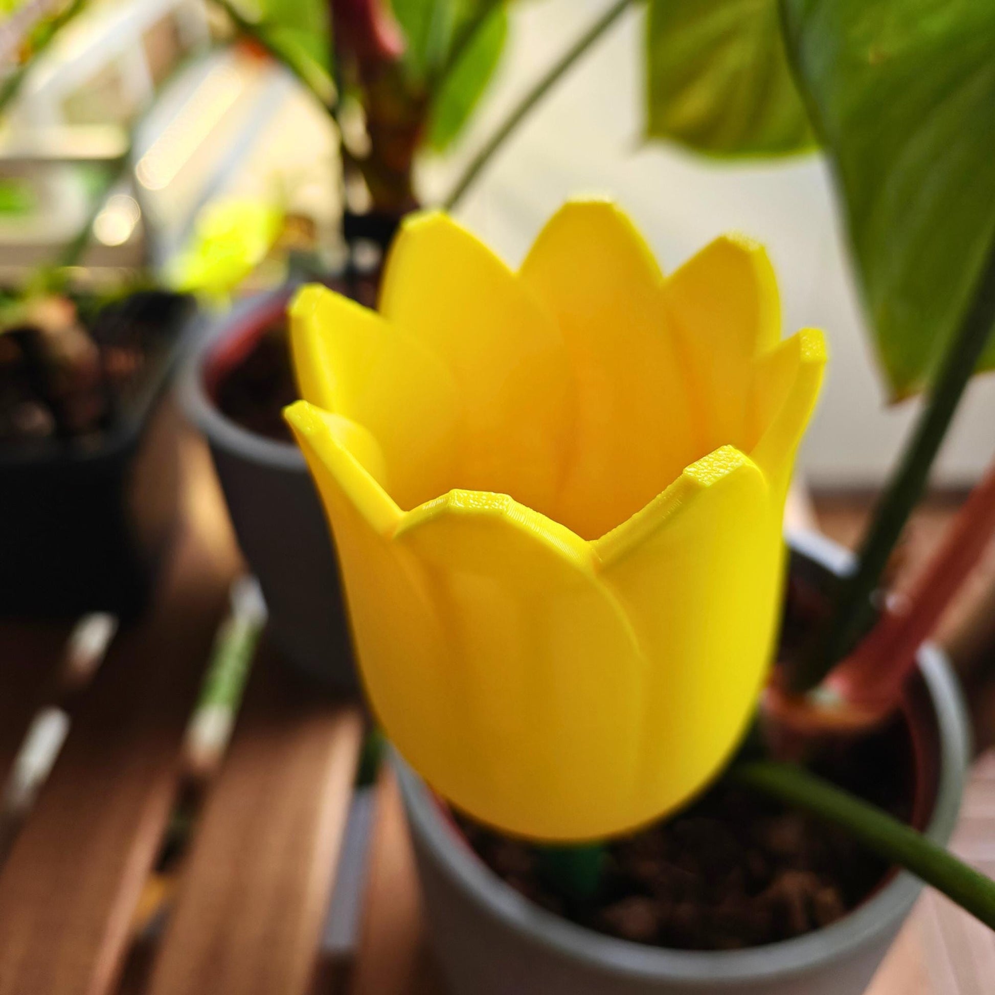 Tulip-shaped water container, self-watering planter for slow-release irrigation for Indoor Plants
