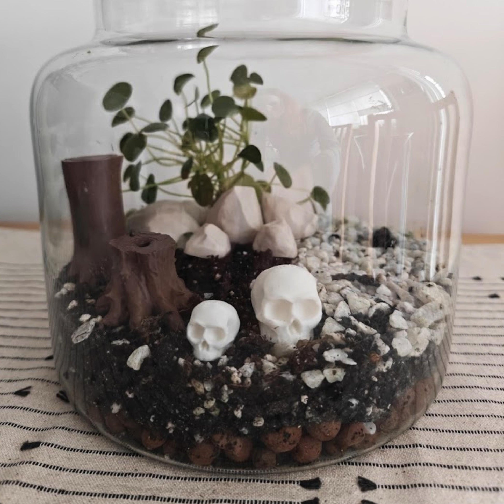 Miniature Skulls for Terrariums, 3D Printed Tiny Skulls for Dioramas and Gothic Decor