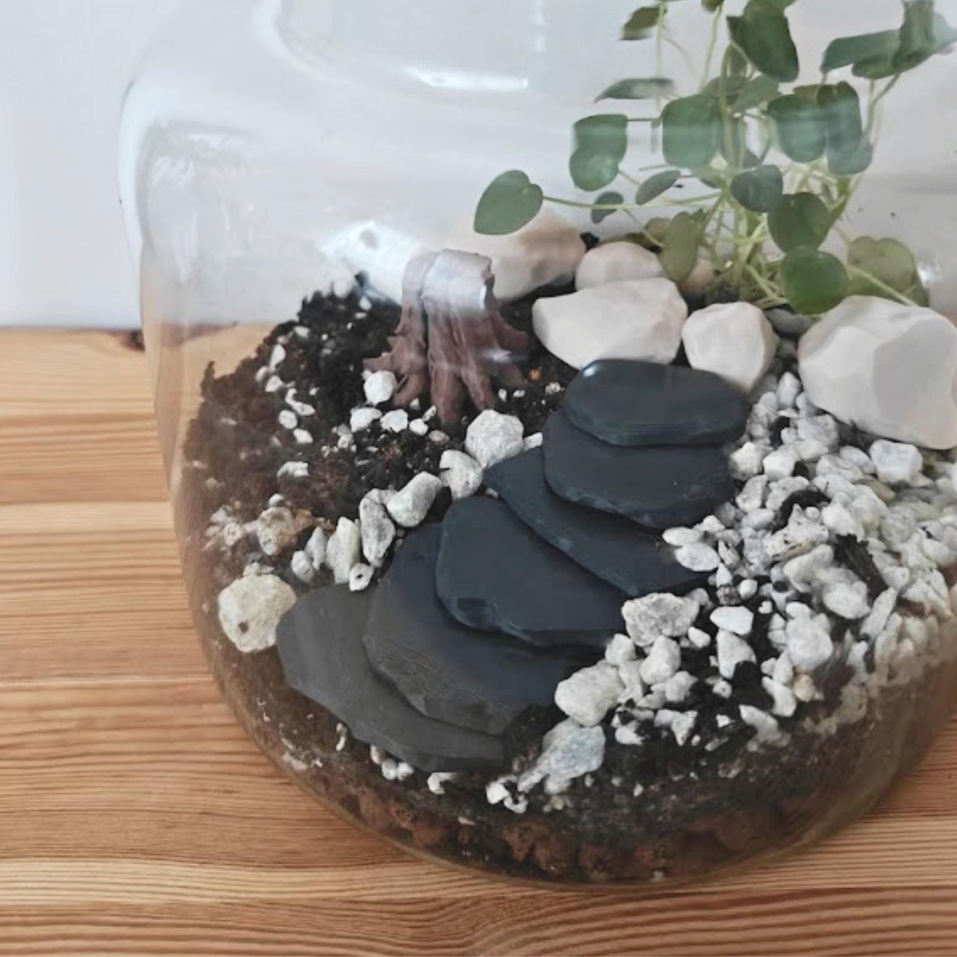 Miniature Rocks for Terrariums, 3D Printed Flat and Textured Stones for Plant Decor & Dioramas