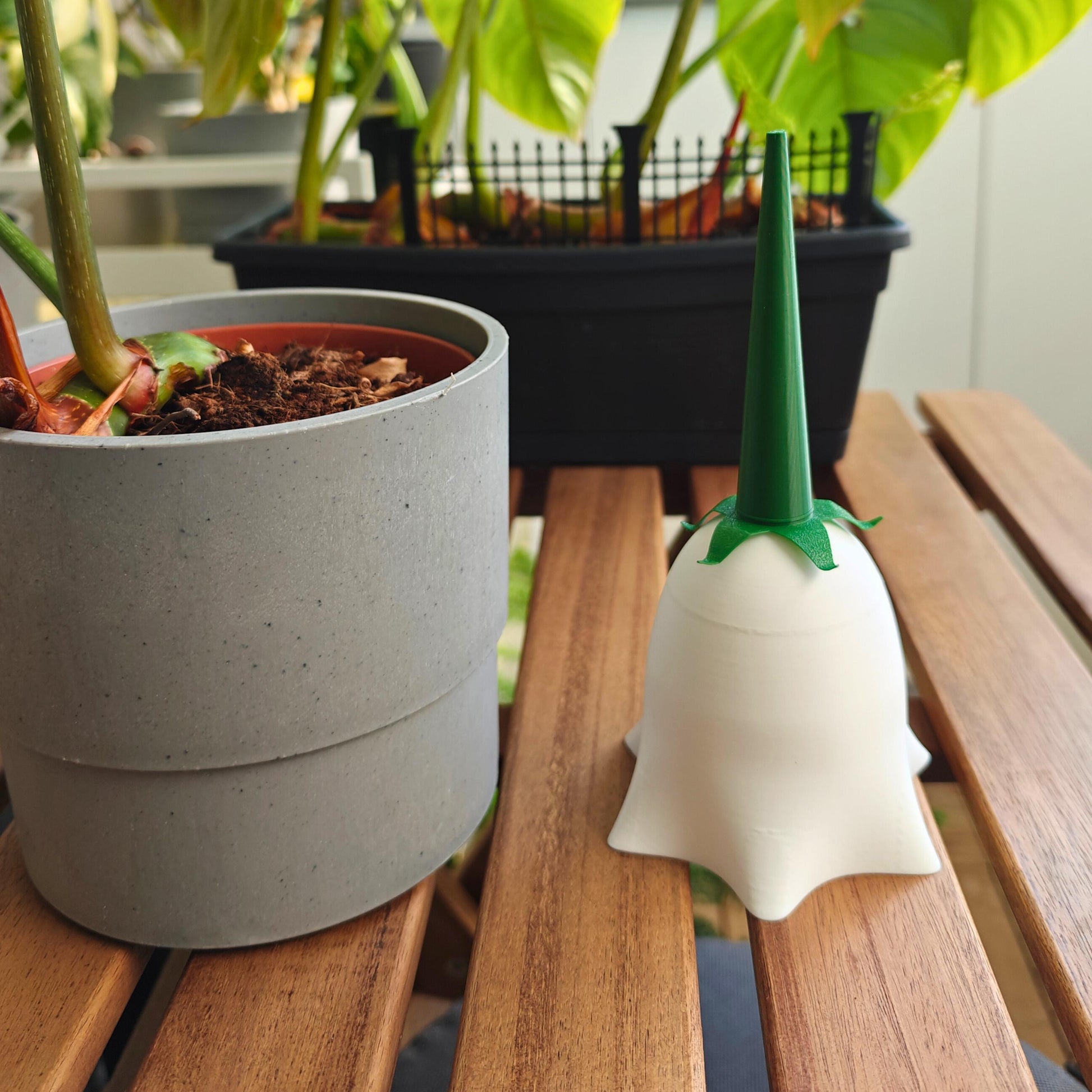 Bellflower Water Container, Self-watering planter, Slow Release Watering for Indoor Plants, Irrigation and watering aid
