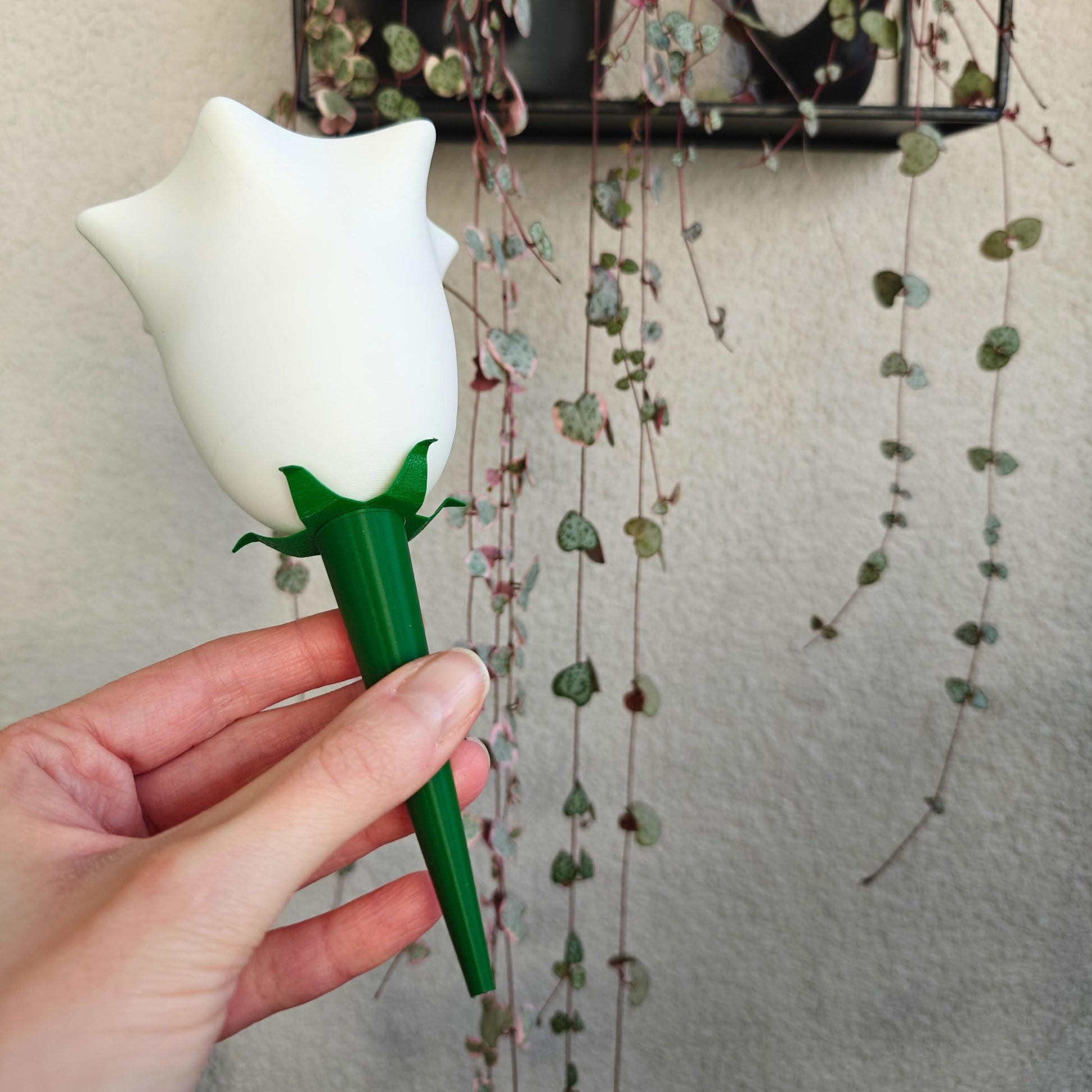 Bellflower Water Container, Self-watering planter, Slow Release Watering for Indoor Plants, Irrigation and watering aid