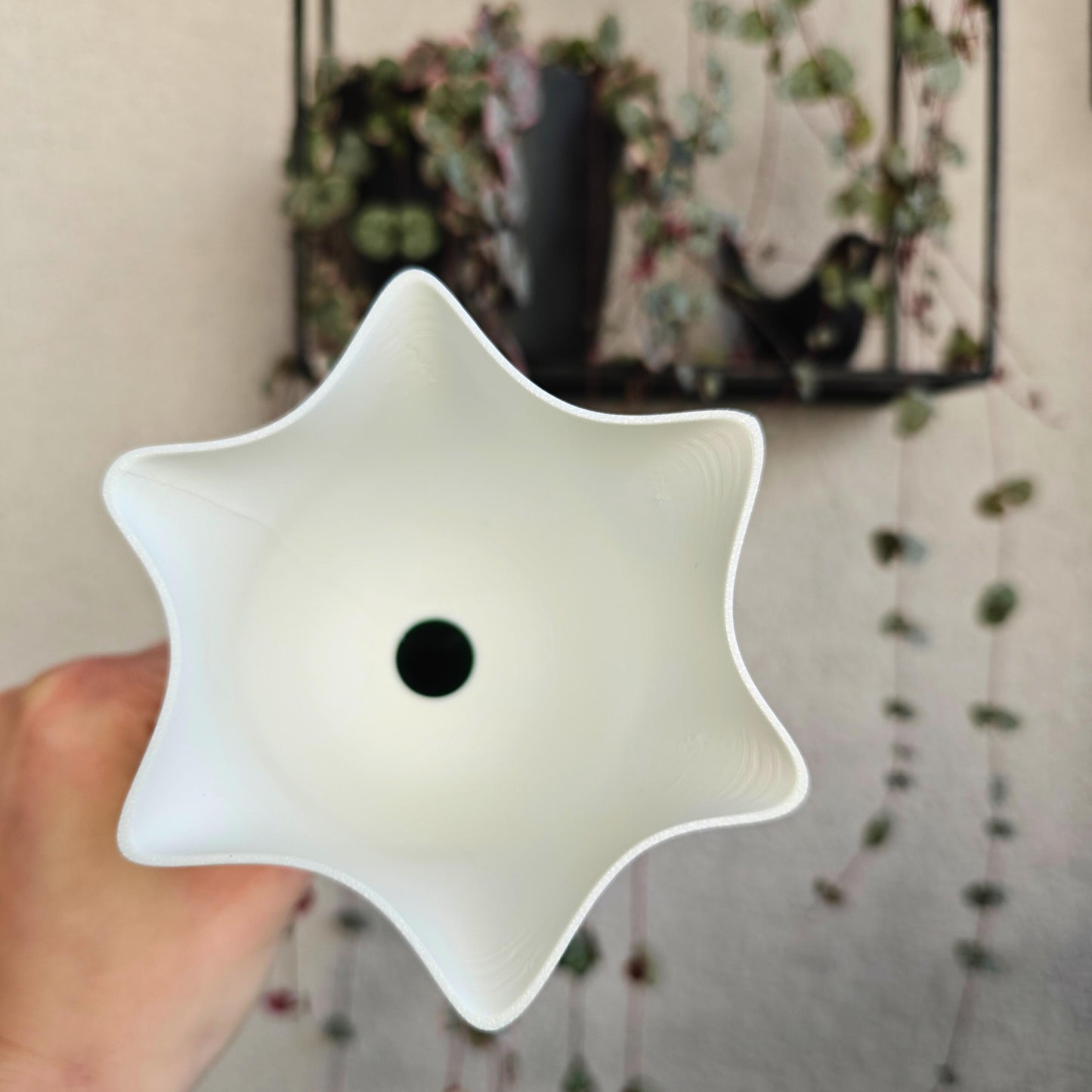 Bellflower Water Container, Self-watering planter, Slow Release Watering for Indoor Plants, Irrigation and watering aid