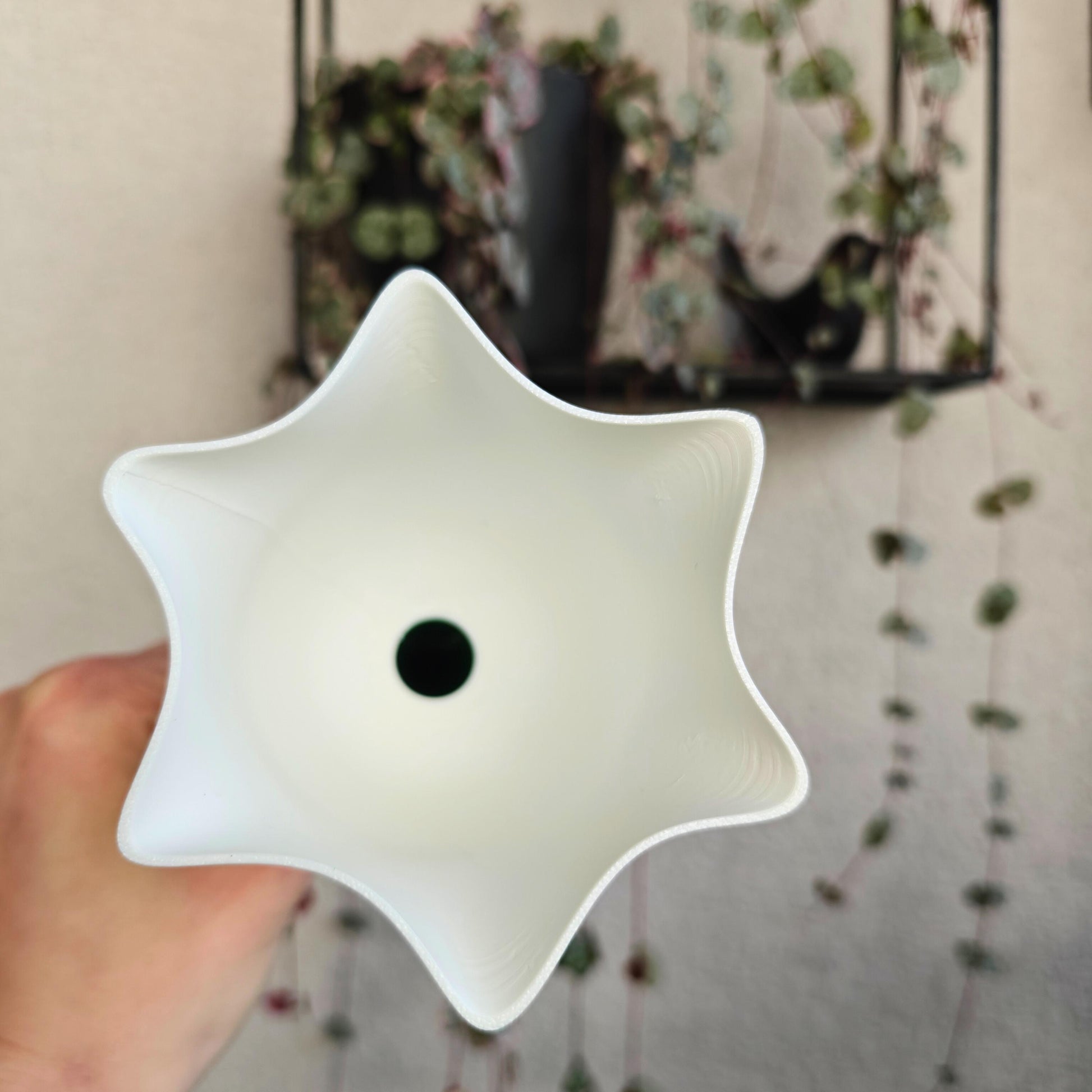 Bellflower Water Container, Self-watering planter, Slow Release Watering for Indoor Plants, Irrigation and watering aid