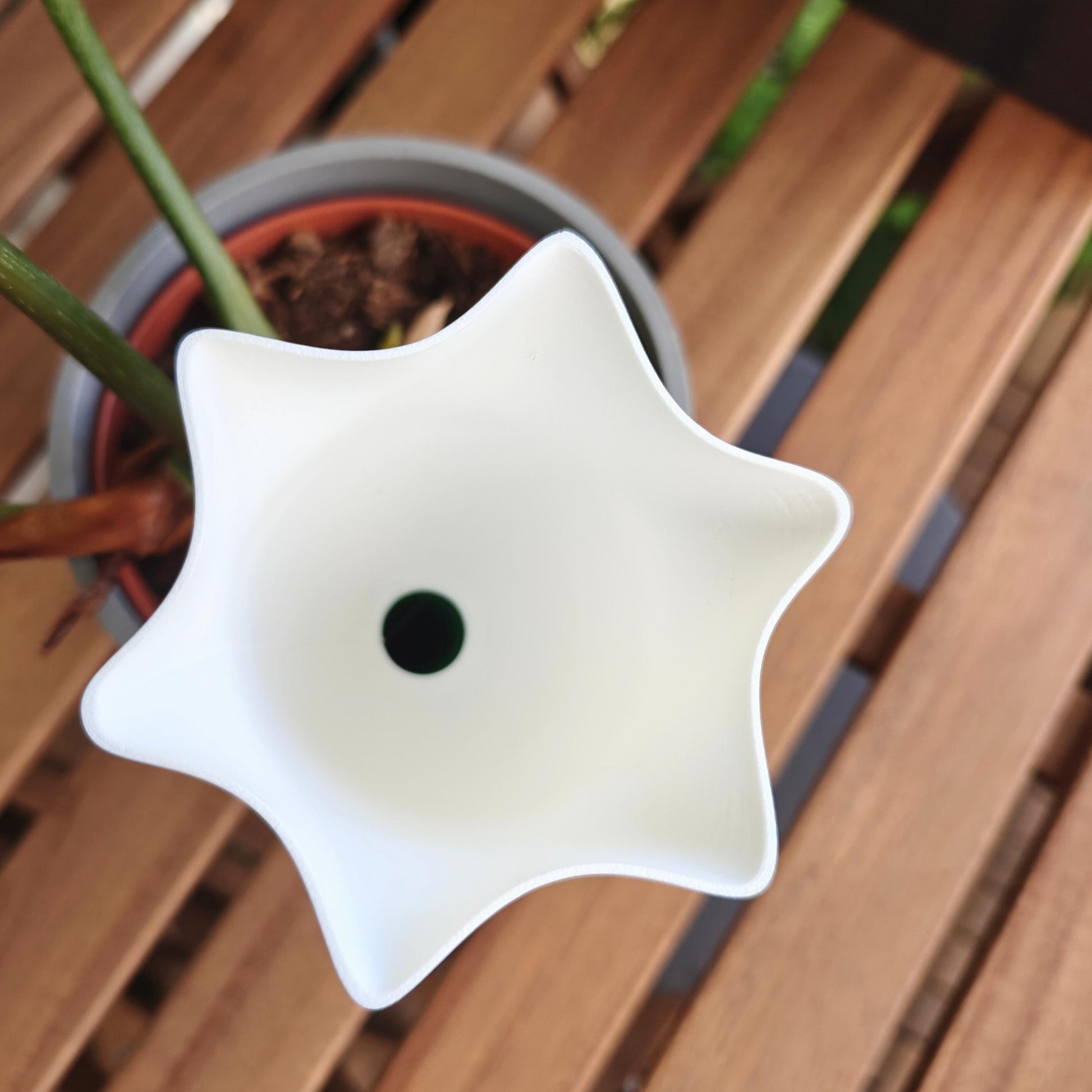Bellflower Water Container, Self-watering planter, Slow Release Watering for Indoor Plants, Irrigation and watering aid