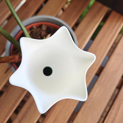 Bellflower Water Container, Self-watering planter, Slow Release Watering for Indoor Plants, Irrigation and watering aid