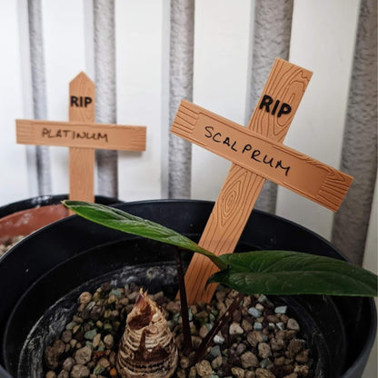 RIP Plant Markers, Set of 3 Graveyard Style Labels, Funny Halloween Garden Decor, Dead Plant Signs