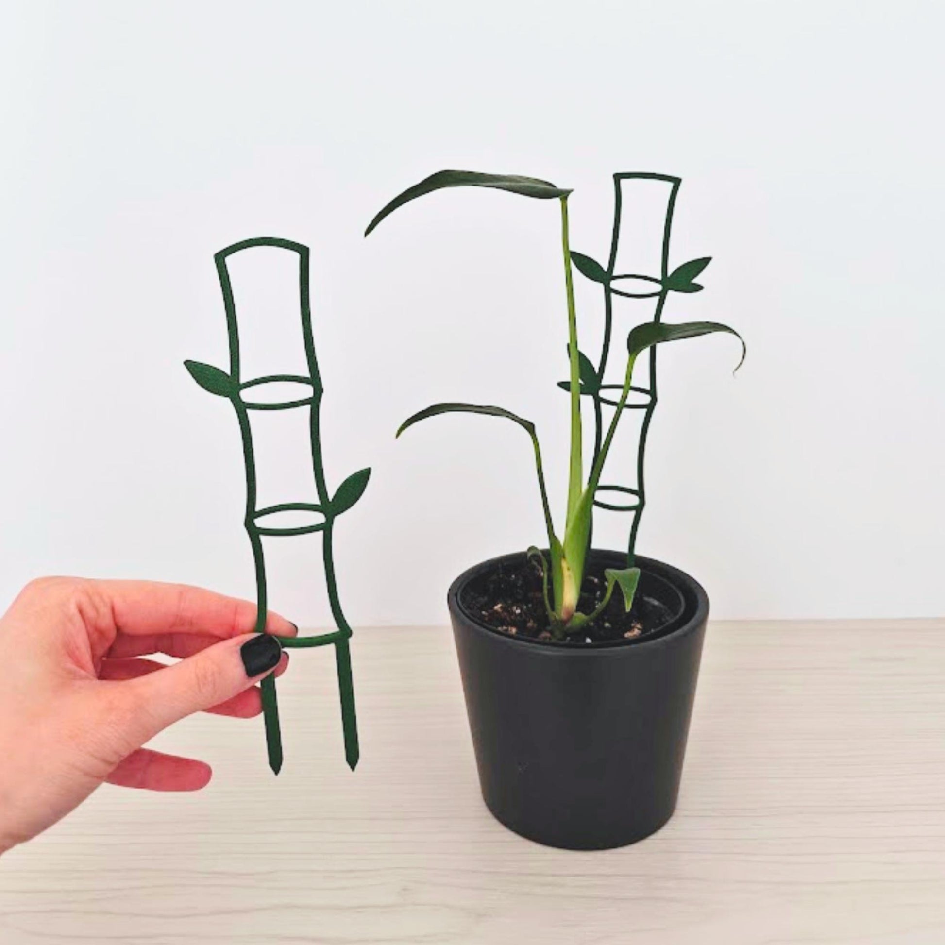 Bamboo Trellis, Decorative Vine Support for Indoor Climbing Plants, 3d Printed Plant Grid