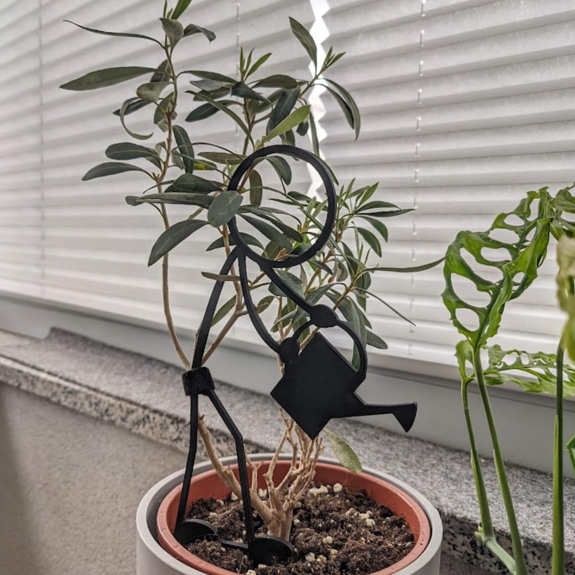 Stickman Plant Support, Plant Trellis, Decorative Support for Indoor Vines & Climbing Plants, 3d Printed Plant Grid