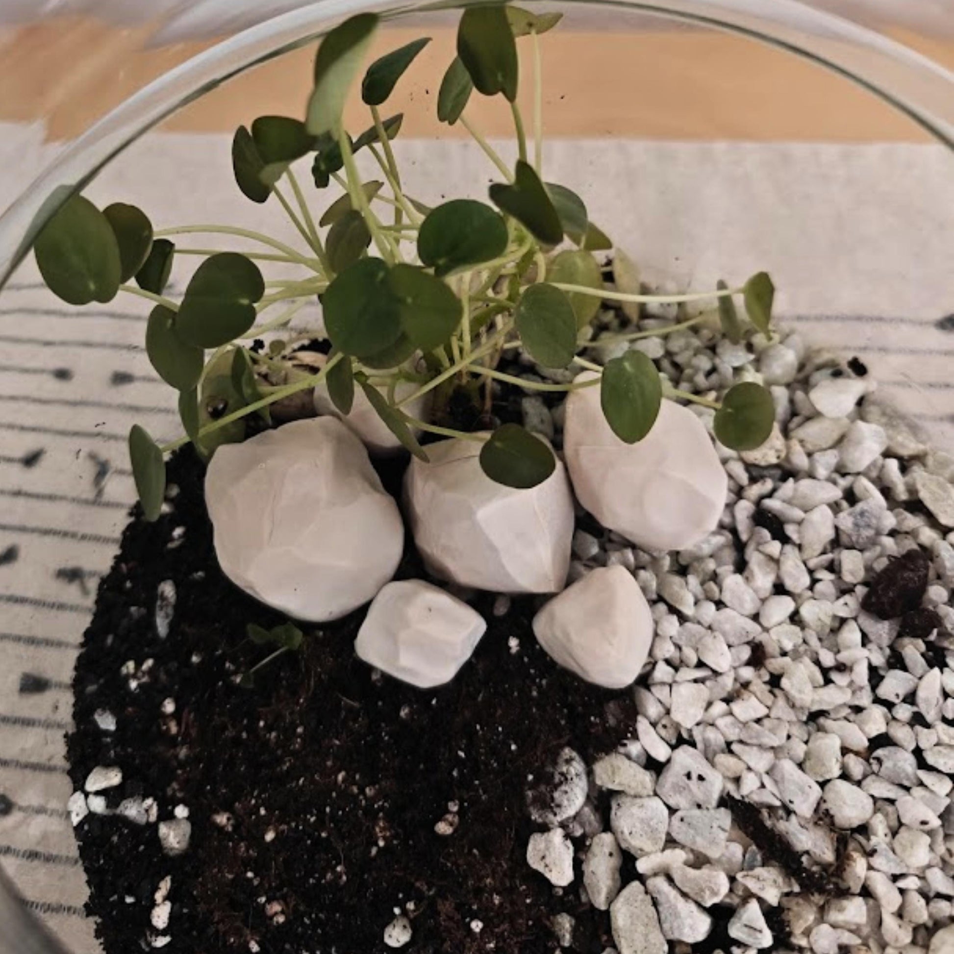 Miniature Rocks for Terrariums, 3D Printed Tiny Stones for Plant Decor & Dioramas