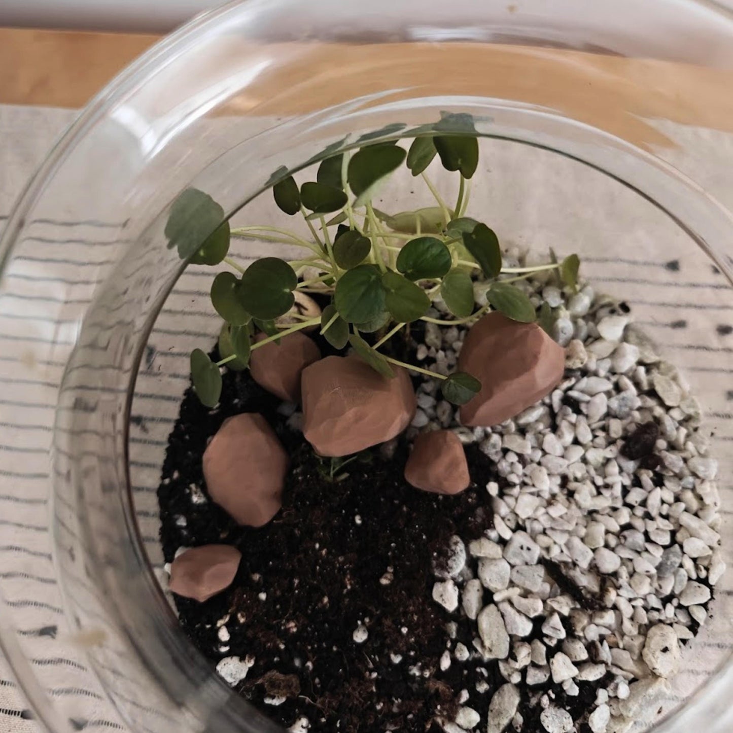 Miniature Rocks for Terrariums, 3D Printed Tiny Stones for Plant Decor & Dioramas