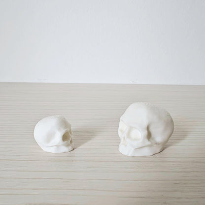 Miniature Skulls for Terrariums, 3D Printed Tiny Skulls for Dioramas and Gothic Decor