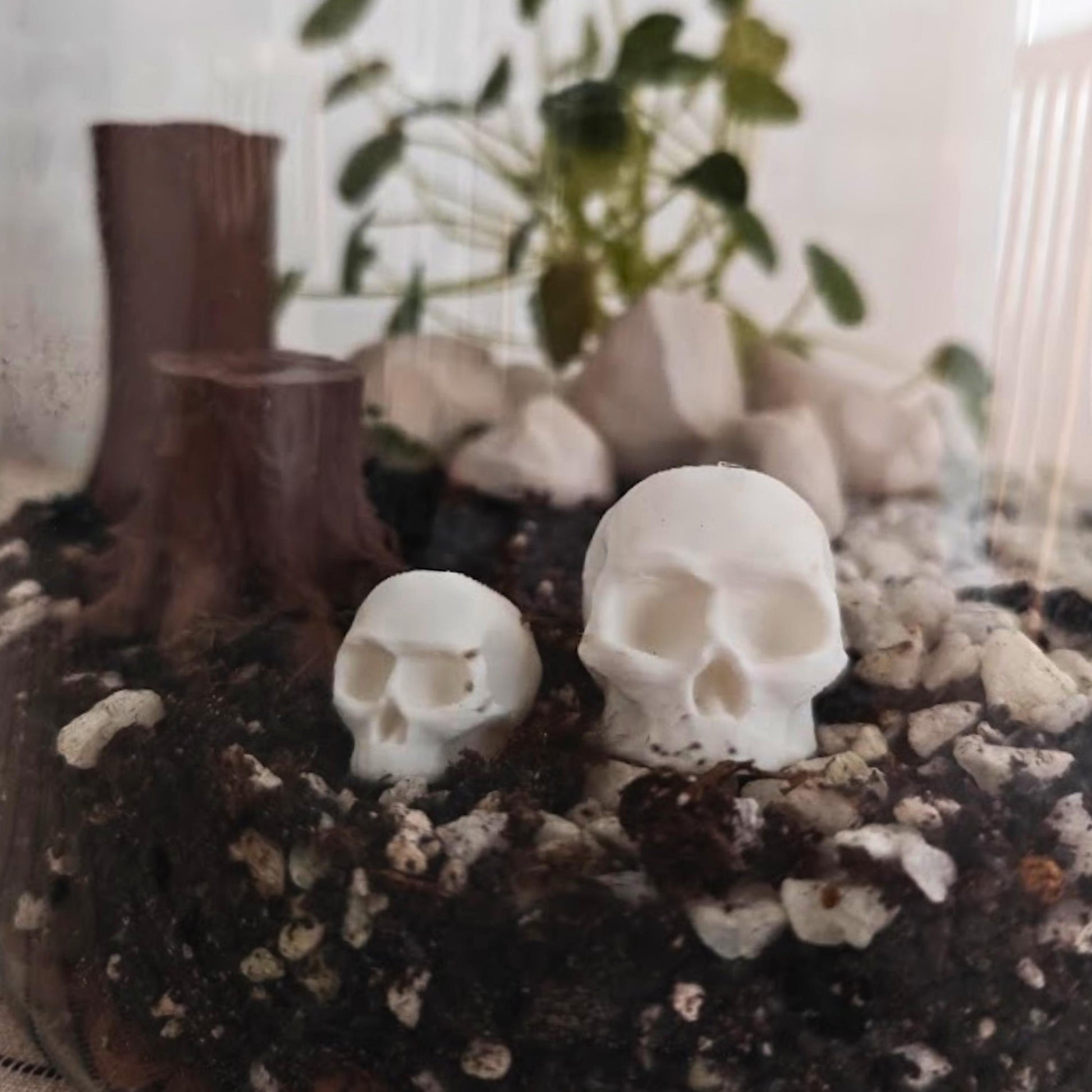 Miniature Skulls for Terrariums, 3D Printed Tiny Skulls for Dioramas and Gothic Decor
