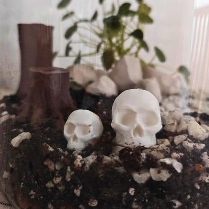 Miniature Skulls for Terrariums, 3D Printed Tiny Skulls for Dioramas and Gothic Decor