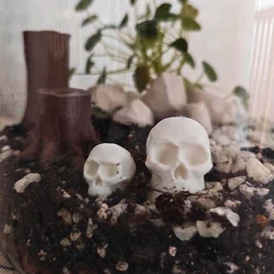 Miniature Skulls for Terrariums, 3D Printed Tiny Skulls for Dioramas and Gothic Decor