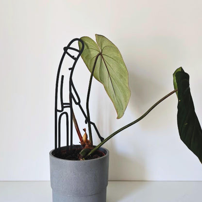 Meme C&#39;mon Do Something Plant Support, Plant Trellis, Decorative Vine Support for Indoor Climbing Plants, 3d Printed Plant Grid
