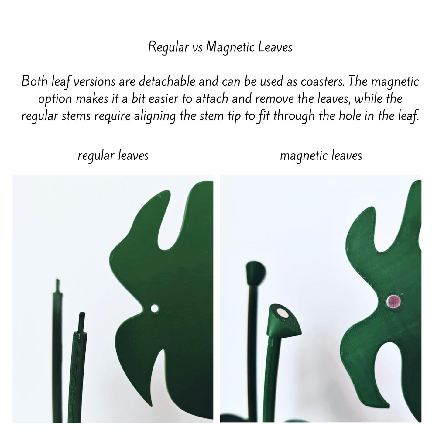 Regular vs magnetic leaves