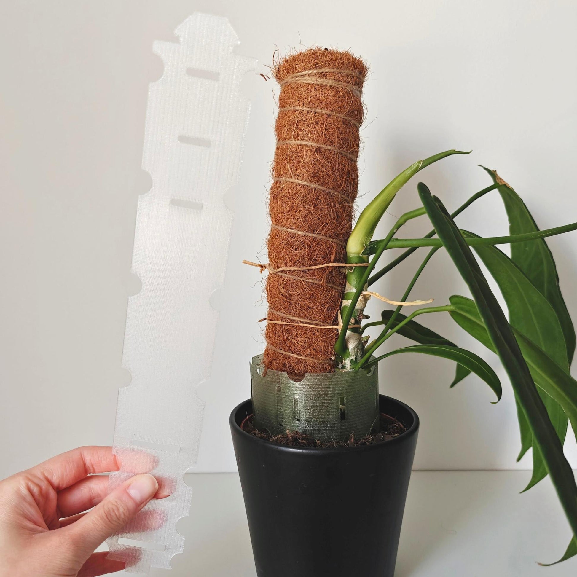 plant pot extender Plant Pot Extender – noordinaryleaf