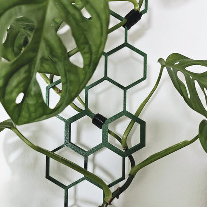 Modular Honeycomb Trellis, Extendable Plant Support for Indoor Climbing Plants, 3d Printed Plant Grid