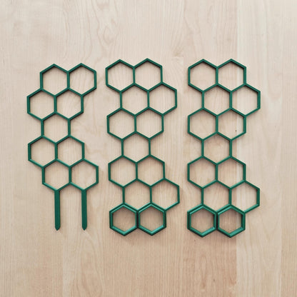 Trellis base and two extensions