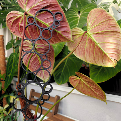 Circle-grid trellis supporting a philodendron plant