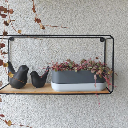 Low Narrow Pot for Succulents or Crawling Plants, Minimalistic Modern Rectangular Pot for Small Shelves, 3d print