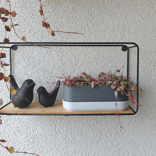 Low Narrow Pot for Succulents or Crawling Plants, Minimalistic Modern Rectangular Pot for Small Shelves, 3d print