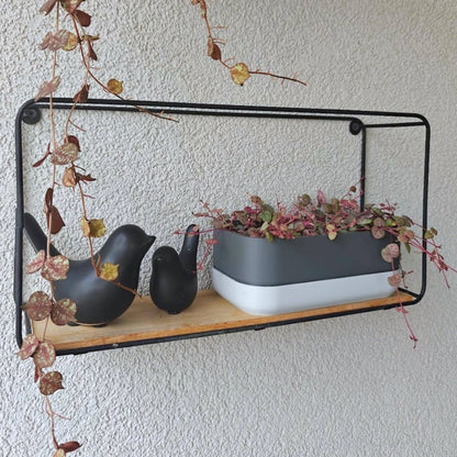 Low Narrow Pot for Succulents or Crawling Plants, Minimalistic Modern Rectangular Pot for Small Shelves, 3d print