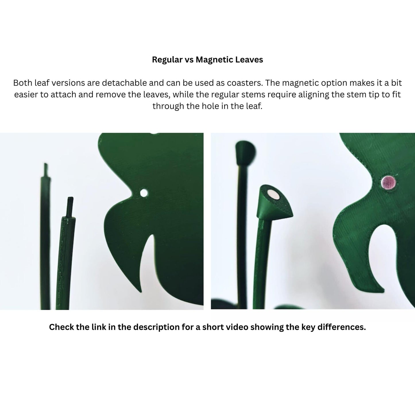 Regular vs Magnetic Leaves
Both leaf versions are detachable and can be used as coasters. The magnetic option makes it a bit easier to attach and remove the leaves, while the regular stems require aligning the stem tip to fit through the hole in the leaf.