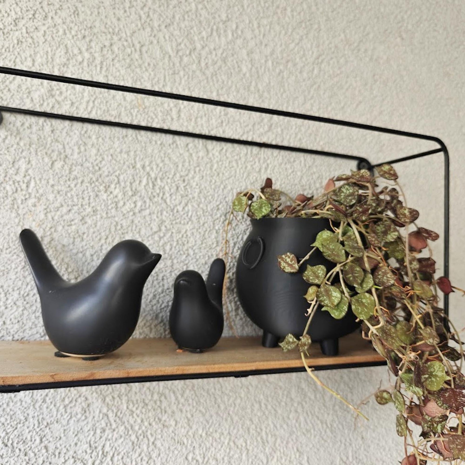Black cauldron planter with trailing plant displayed on a minimalist black metal wall shelf next to matching bird-shaped decor.
