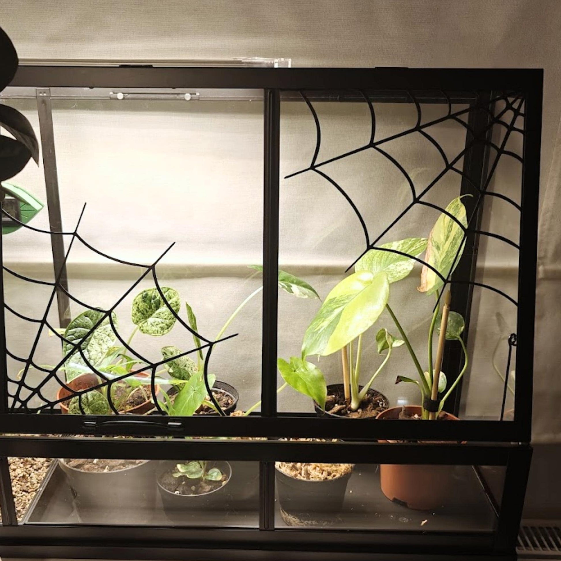 Cobweb Decoration for IKEA AKERBAR Greenhouse, Decor for Both Mini Greenhouse sizes, 3d print