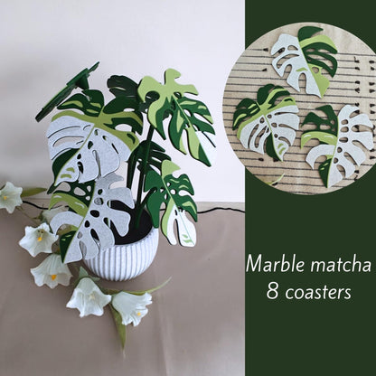 Marble matcha Monstera leaf coaster set of 8.