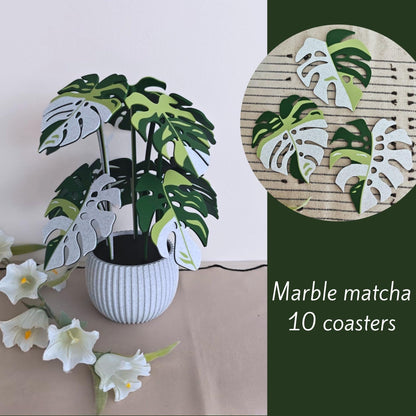 Marble matcha Monstera leaf coaster set of 10.