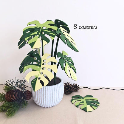 Monstera leaf coaster plant set with 8 coasters.