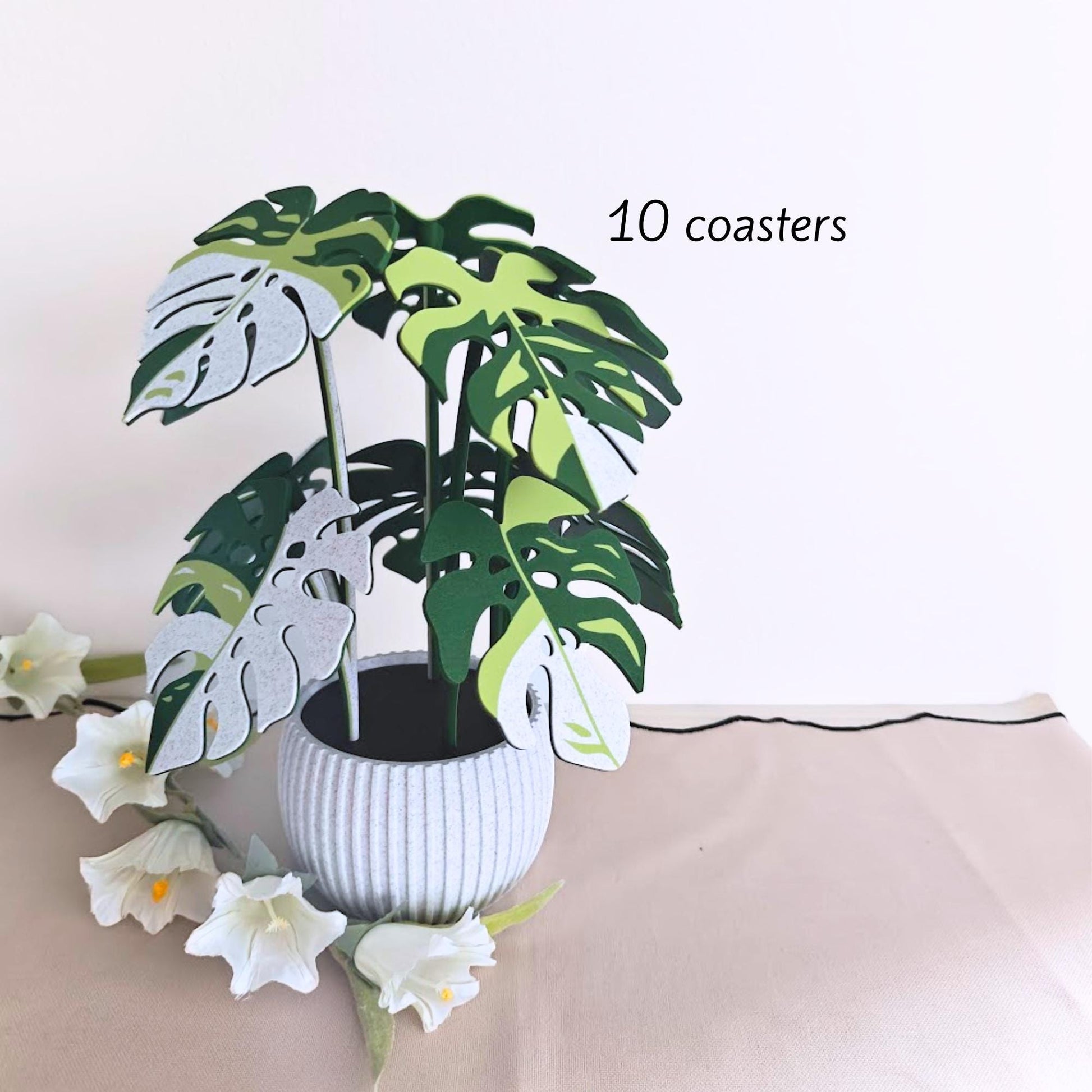 Monstera leaf coaster plant set with 10 coasters.