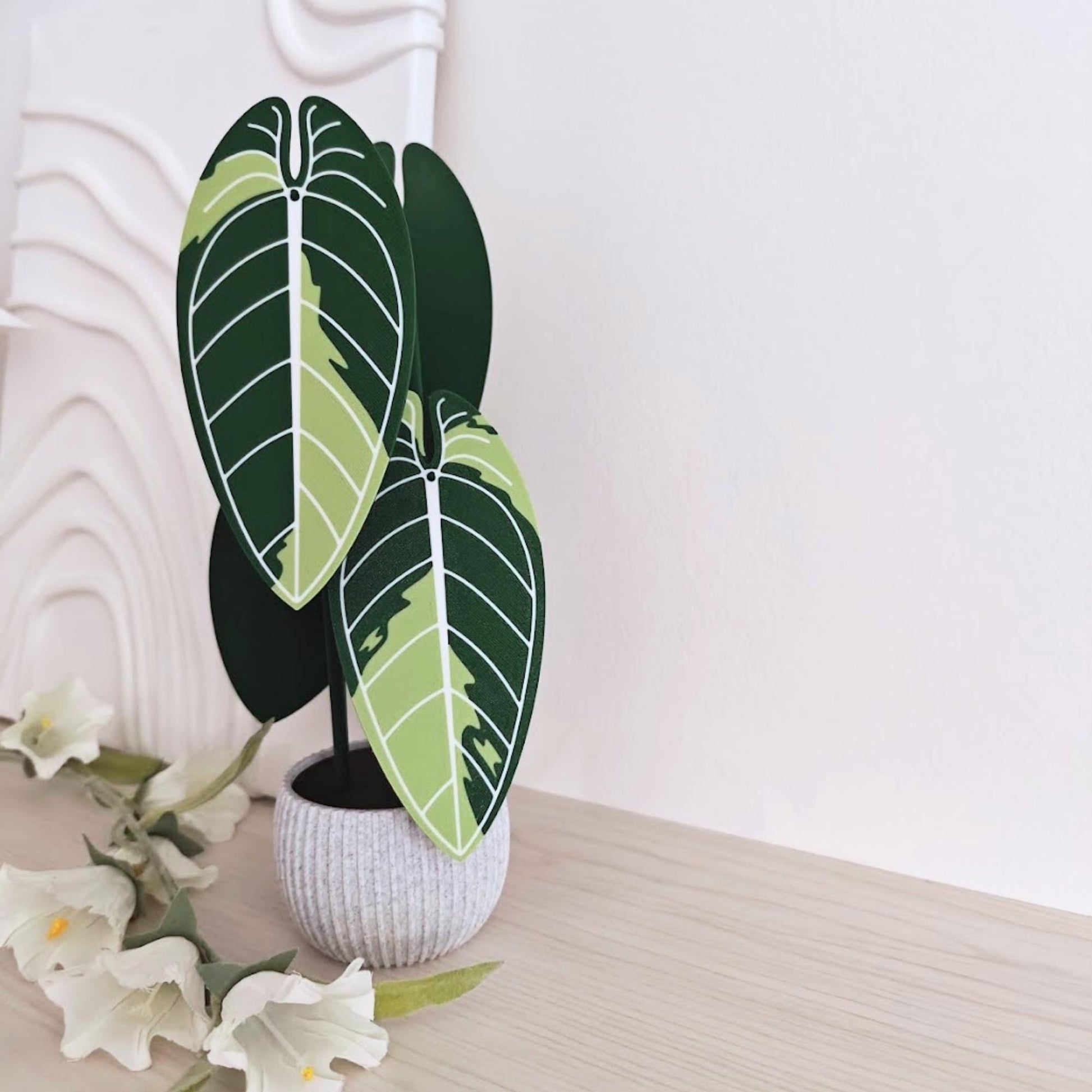 Anthurium Warocqueanum Variegated Plant Coaster Set, Queen of Anthuriums, Leaf Coasters, 3D printed Coasters, Anthurium Waro