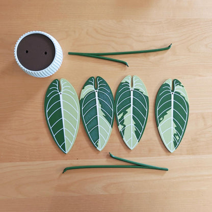 Anthurium Warocqueanum Variegated Plant Coaster Set, Queen of Anthuriums, Leaf Coasters, 3D printed Coasters, Anthurium Waro