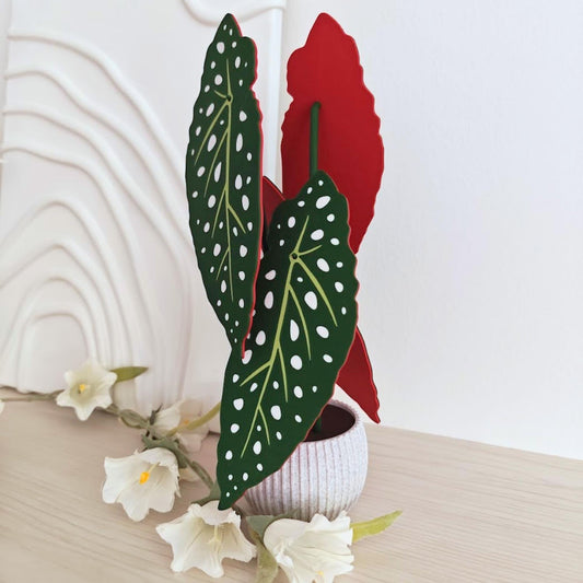 Begonia Maculata Plant Coaster Set, Leaf Coasters, 3D printed Coasters