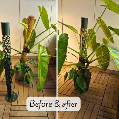 Modular Moss Pole Ø 6 cm (2.36"), Watering Reservoir or Cap, 3D Printed Extendable Plant Support System