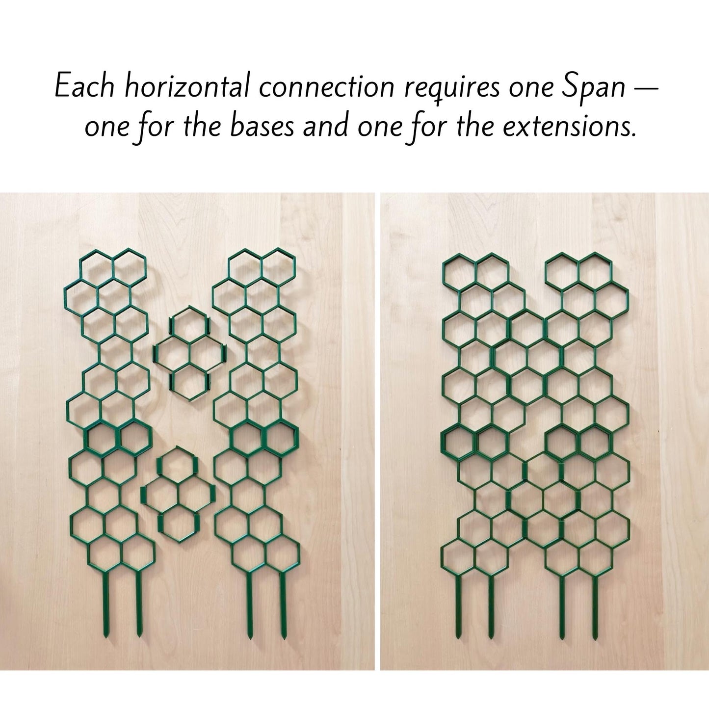 Honeycomb trellis sections connected horizontally to create wider plant support