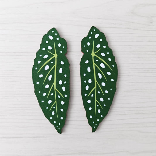 Front view of a left and right Begonia leaf handles with white spots and pale green veins on a light wood background.