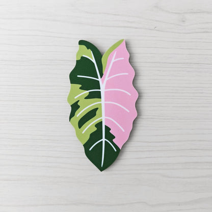 Front view of the green and pink variegated Alocasia Chantrieri key cover handle on a light wood background.