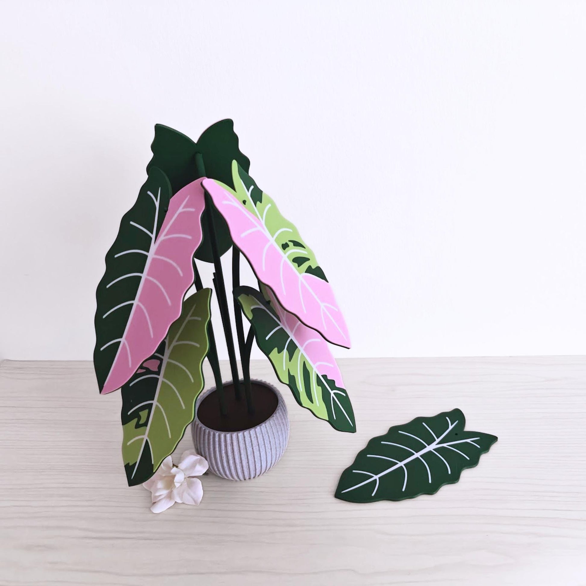 Front view of the coaster set displayed in the holder with one leaf coaster placed in front.