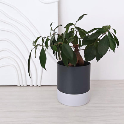 Smooth self-watering planter with a plant placed inside on a light surface.