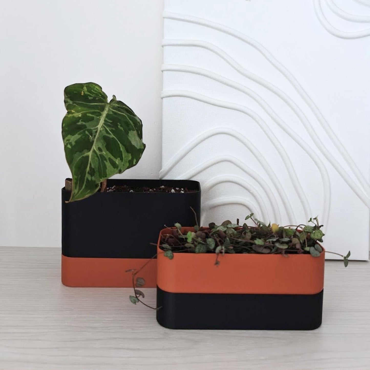 Two self watering planters with plants, minimalist home decor styling